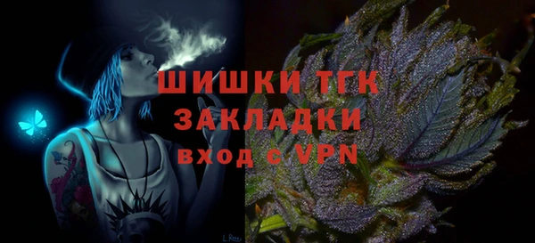 PSILOCYBIN Белокуриха